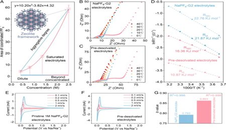 筑波大學周豪慎、楊慧軍/天津大學楊全紅PNAS：分子篩膜賦予硬碳負極高倍率和超穩(wěn)定的鈉存儲