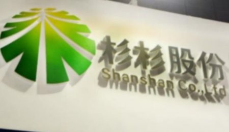 杉杉股份打造硅基一體化基地——抓住動力電池發(fā)展風口