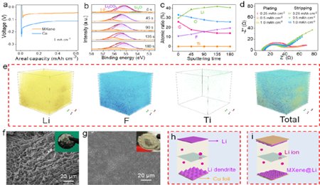 大連化物所吳忠?guī)浾n題組EnSM：3D打印超高面能量密度鋰金屬電池的理性設計