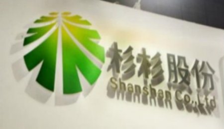 蟬聯(lián)全球之首！2022年杉杉股份負(fù)極人造石墨出貨突破20萬(wàn)噸
