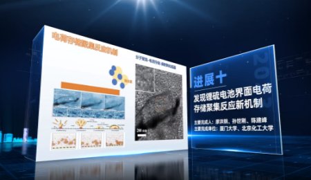 中國(guó)科學(xué)十大進(jìn)展之發(fā)現(xiàn)鋰硫電池界面電荷存儲(chǔ)聚集反應(yīng)新機(jī)制