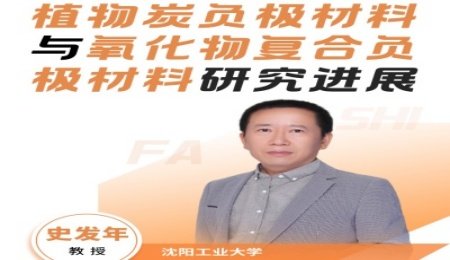 植物炭負極材料與氧化物復合負極材料研究進展